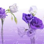 Фиолетовые цветы 2662